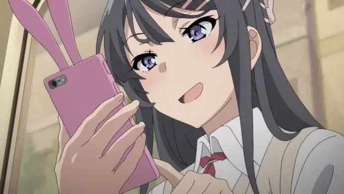 Light Novel : Rascal Does Not Dream of Bunny Girl Senpai
