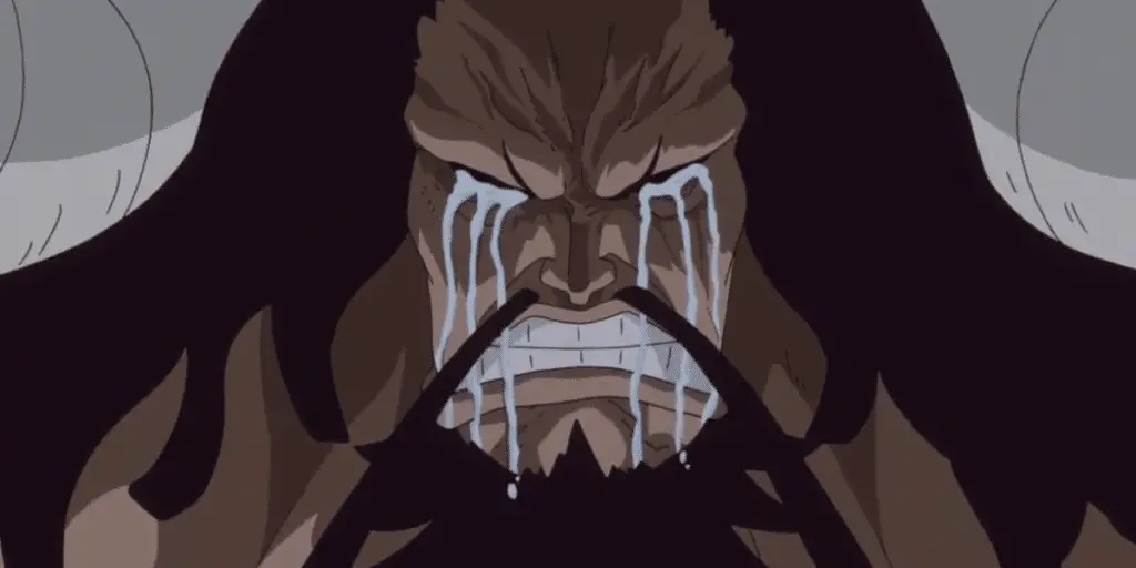 One Piece : pas de nouveaux épisodes cette semaine, l'épisode 1074 sera de retour le 3 septembre