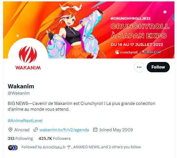 Wakanim: a plataforma de streaming especializada em anime vai fechar as  portas 