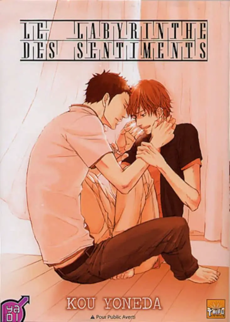 Meilleurs Yaoi : Le labyrinthe des sentiments