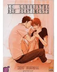 Meilleurs mangas pour adultes - Le labyrinthe des sentiments