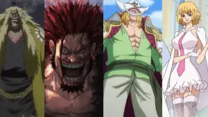 One piece : pirate équipage Rocks